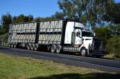 Kenworth,  Jbs Carriers,  Queensland