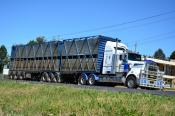 Kenworth, ---  Wodonga