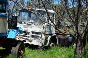 Mercedes 1419,  Wellington