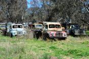 Austins  Central Nsw