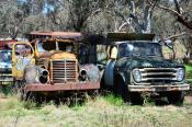 Internationals,  Central Nsw