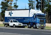 Freightliner,  Napoli Transport