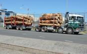 Foden,  Forest Freighters,  Putaruru