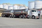 International,  Fluidex  Mt Maunganui