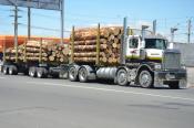 Western Star,  Falcon Logging Ltd,  Te Puke