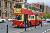 Leyland Atlantean, Captain Fells Tours,  Hobart