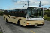 Man,  Birkenhead Transport  Albany