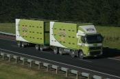 Volvo, Graeme Wright, Albany