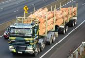 Daf Cf,  Aztec Logging