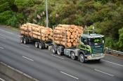Scania  Aztec / Ken Angus,  Matatoki