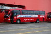 Irizar,  Greyhound Australia