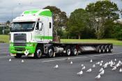Freightliner & Birds, Nzl Group,  Auckland