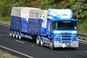 Western Star,  Mainfrieght,  Takanini