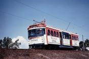 Melbourne's Decorated Trams.