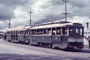 Ballarat Trams