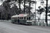 Ballarat Trams