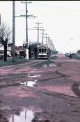 Ballarat Trams Last Day