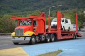Kenworth,  Patricks,  Woolongong