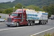 Kenworth,  Kays Transport,  Woolongong