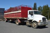 Kenworth,  Raglan