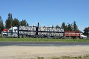 Western Star,  Raglan