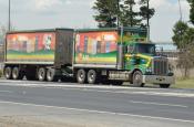 Kenworth,  Aust Native Landscapes,  Bathurst