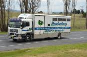 Man  Hawkesbury Racehorse Transport, Kelso
