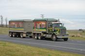 Western Star,  Aust Native Landscapes,  Kelso