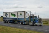 Kenworth,  Napoli Transport,  Bathurst