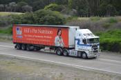 Kenworth,  Sydney