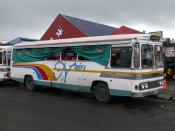 Suva Buses