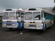 Suva Beauties, Leyland's !!!!
