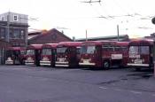 Wellington Trolley Buses  28.12.72