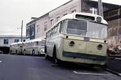 Auckland Trolley Buses