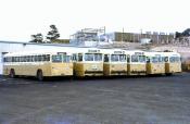 Auckland Buses, North Shore Depot, 1978