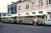 Auckland Trolley Buses