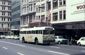 Auckland Trolley Buses