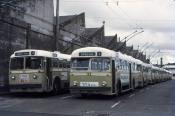 Auckland Trolley Buses