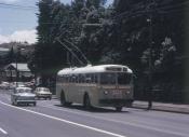 Auckland Trolley Buses