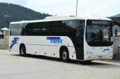 Whitsunday Transit,  Airlie Beach