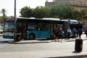 Aviva Bus 254