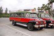 Bedford Tj Country Bus Cyprus