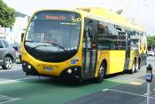 Wellington Trolleybus