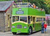 Southdown 267.