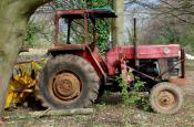 Unknown Ferguson Tractor.