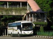 Scania / SC Chivalrous