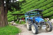 New Holland TT75