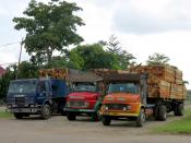 Timber Lorries