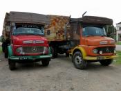 Timber Lorries