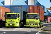 Lime Green
